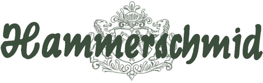 Hammerschmid - SERVICEPROGRAMM